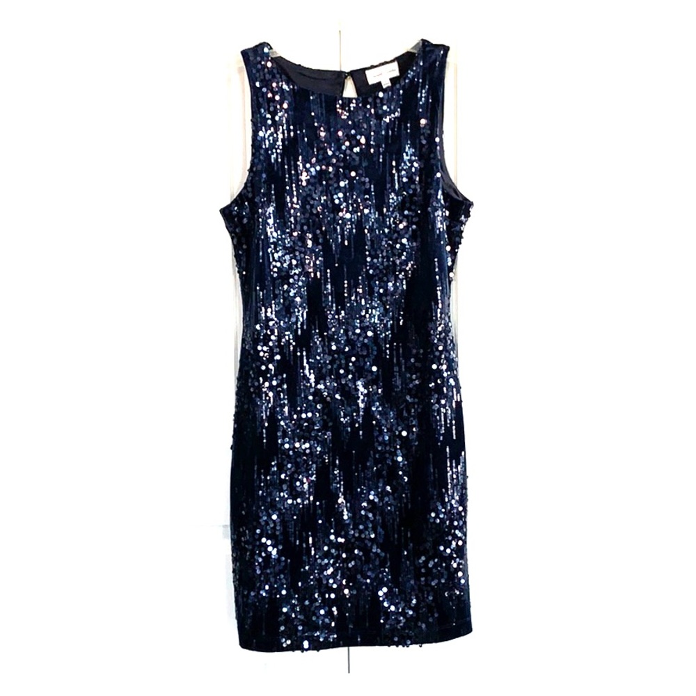 Gorgeous Sequin Dress in Blue